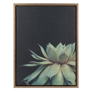 Succulent Framed Canvas Wall Art by F2 Images, 18x24 Gold